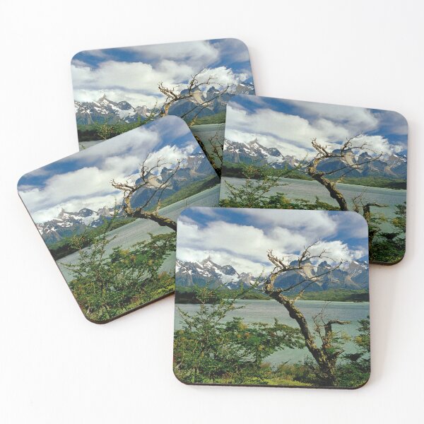 Item preview, Lago Pehoé y Cuernos del Paine, Parque Nacional Torres del Paine, Chile designed and sold by Paris Lee.