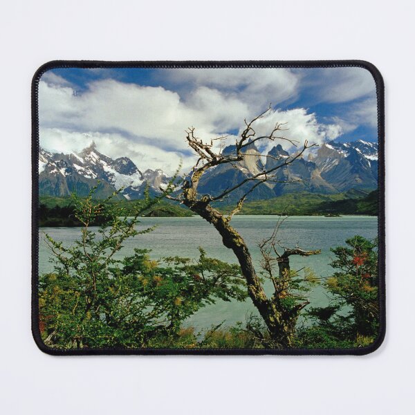 Item preview, Lago Pehoé y Cuernos del Paine, Parque Nacional Torres del Paine, Chile designed and sold by Paris Lee.