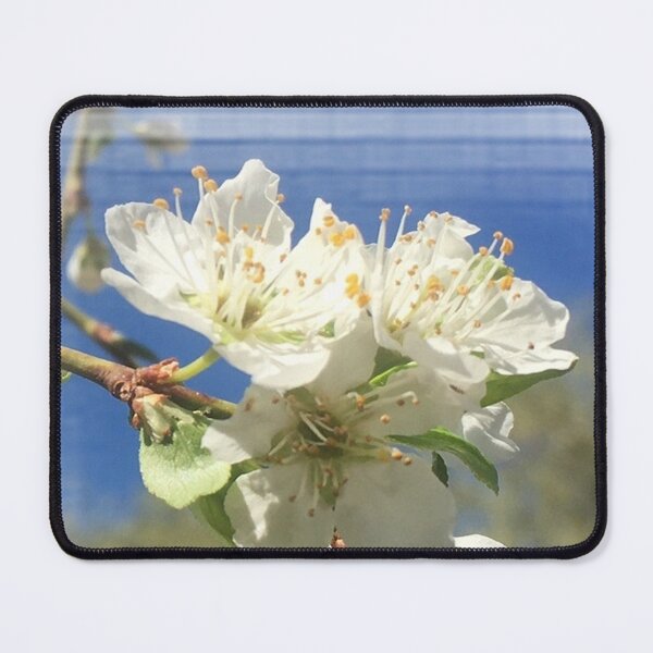 Item preview, Plum White Blossoms Blue sky by Iritof designed and sold by iritof.