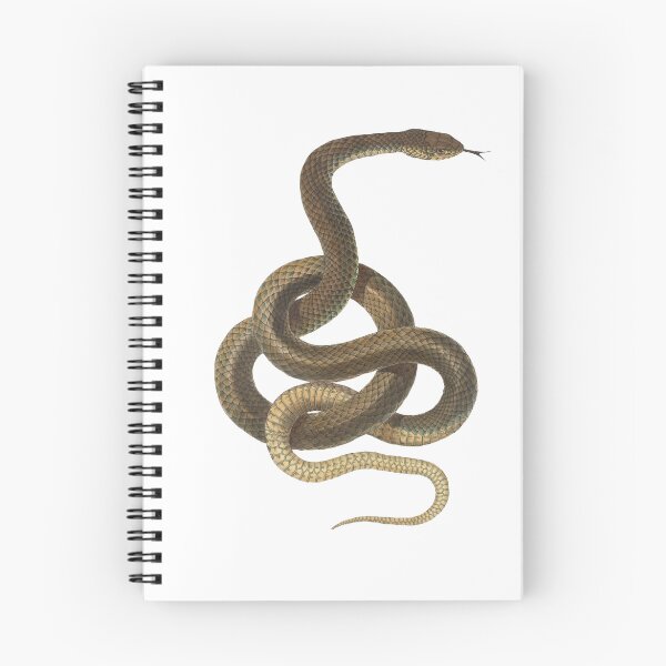 Item preview, Snake designed and sold by Saiyra.