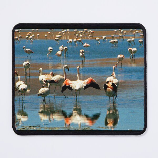 Item preview, Flamingos, Salar de Uyuni, Bolivia designed and sold by Paris Lee.