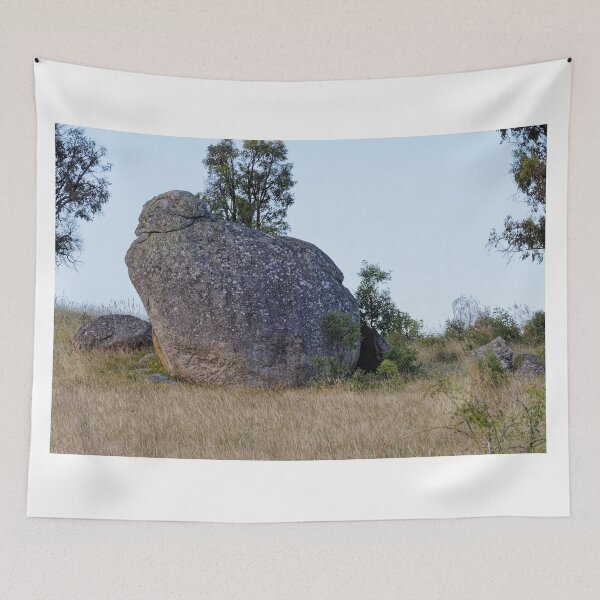 Item preview, A splendid rock from Watsons Creek designed and sold by Mrtweety.