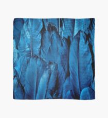 Blue Feather Close Up Scarf
