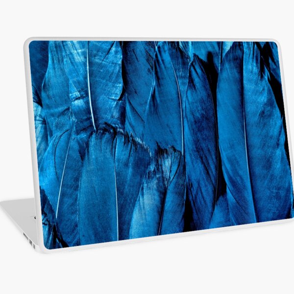 Blue Feather Close Up Laptop Skin