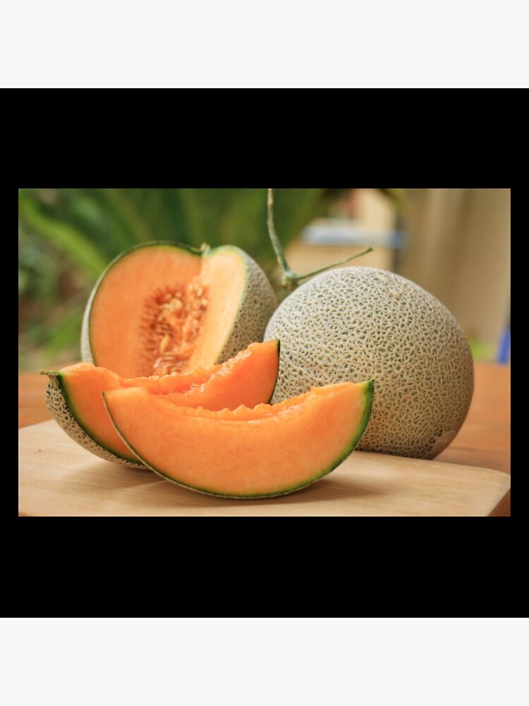 "Muskmelon sticker" Sticker for Sale by Farhakhalid7722 Redbubble