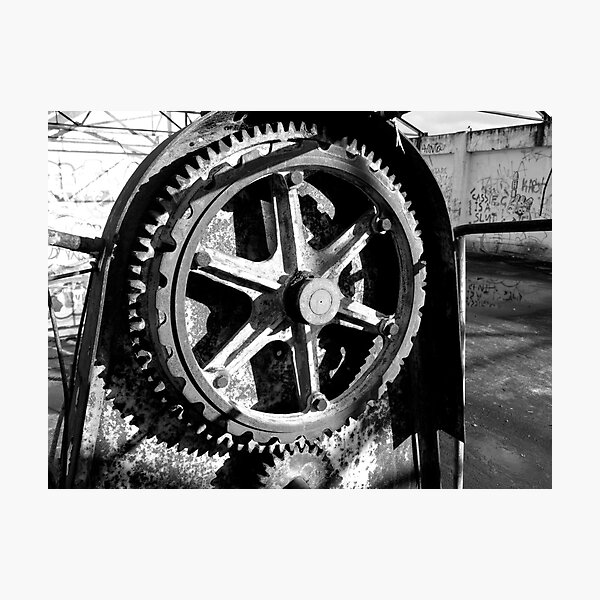 cog Photographic Print