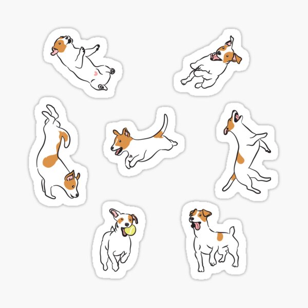 Playing Jack Russell Terrier - Black Background Sticker