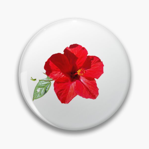 Item preview, Carnation, photograph of a red carnation designed and sold by Meo Design.
