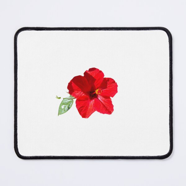 Item preview, Carnation, photograph of a red carnation designed and sold by Meo Design.