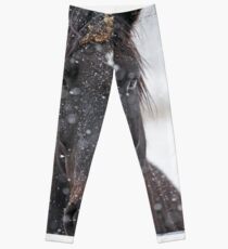 Horse in Snowstorm Leggings