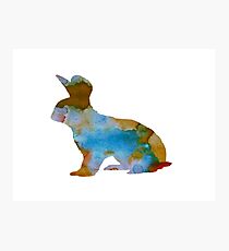 Hase Fotodruck
