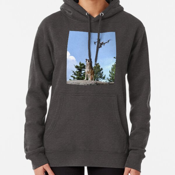 Wolf & Drone Pullover Hoodie