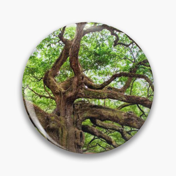 Item preview, Elegant Oak Tree Art designed and sold by Alicefish.
