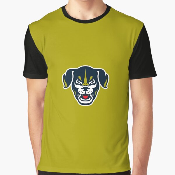 Lincoln Saltdogs Lincoln Saltdogs Classic T-Shirt | Redbubble