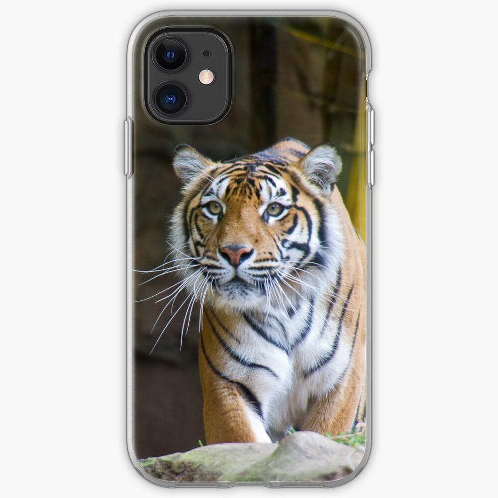 Tiger iPhone Case & Cover