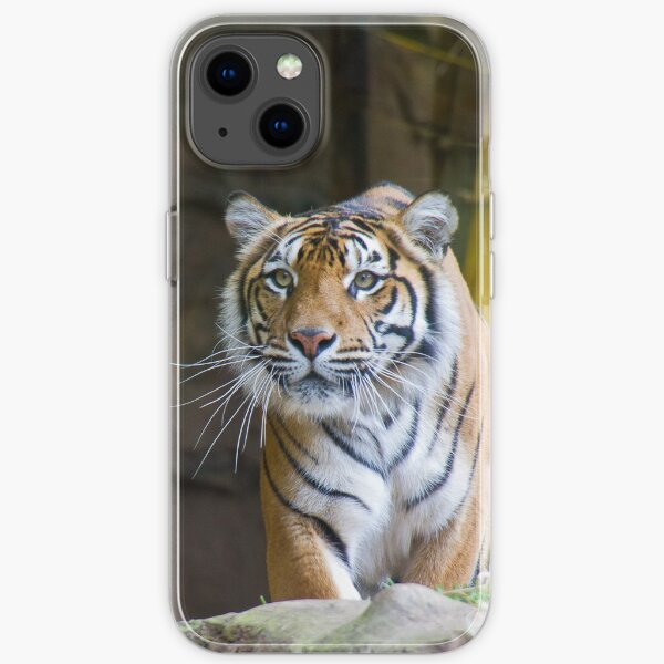 Tiger iPhone Soft Case