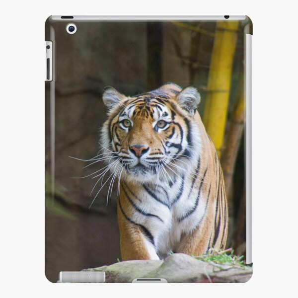Tiger iPad Snap Case