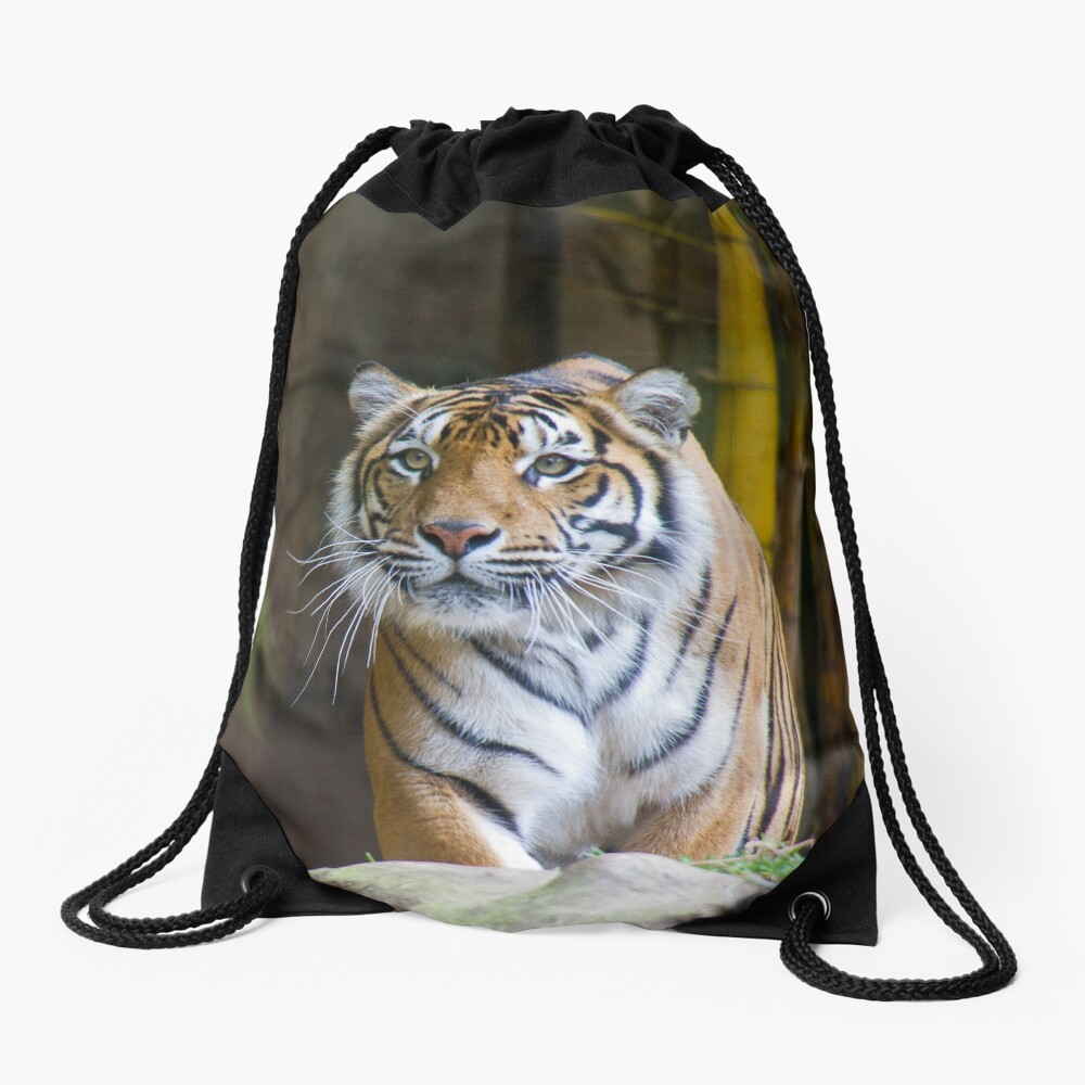 Tiger Drawstring Bag