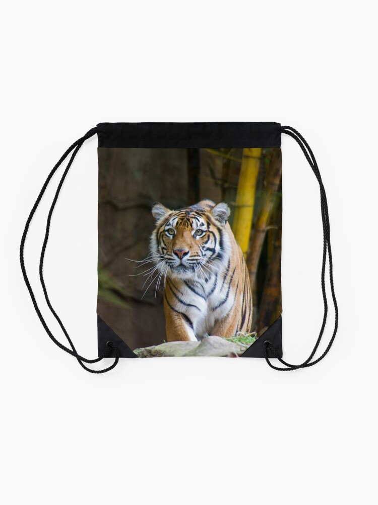 Alternate view of Tiger Drawstring Bag