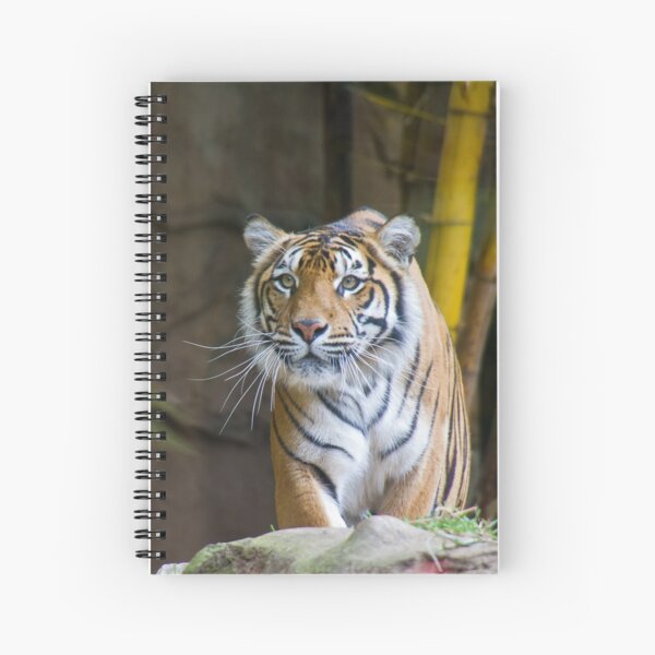 Tiger Spiral Notebook