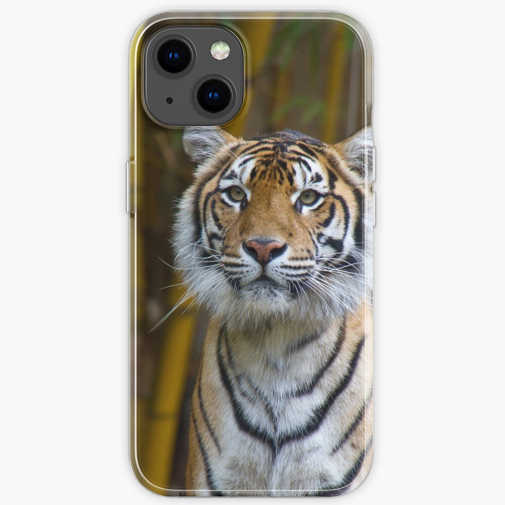 Tiger iPhone Case
