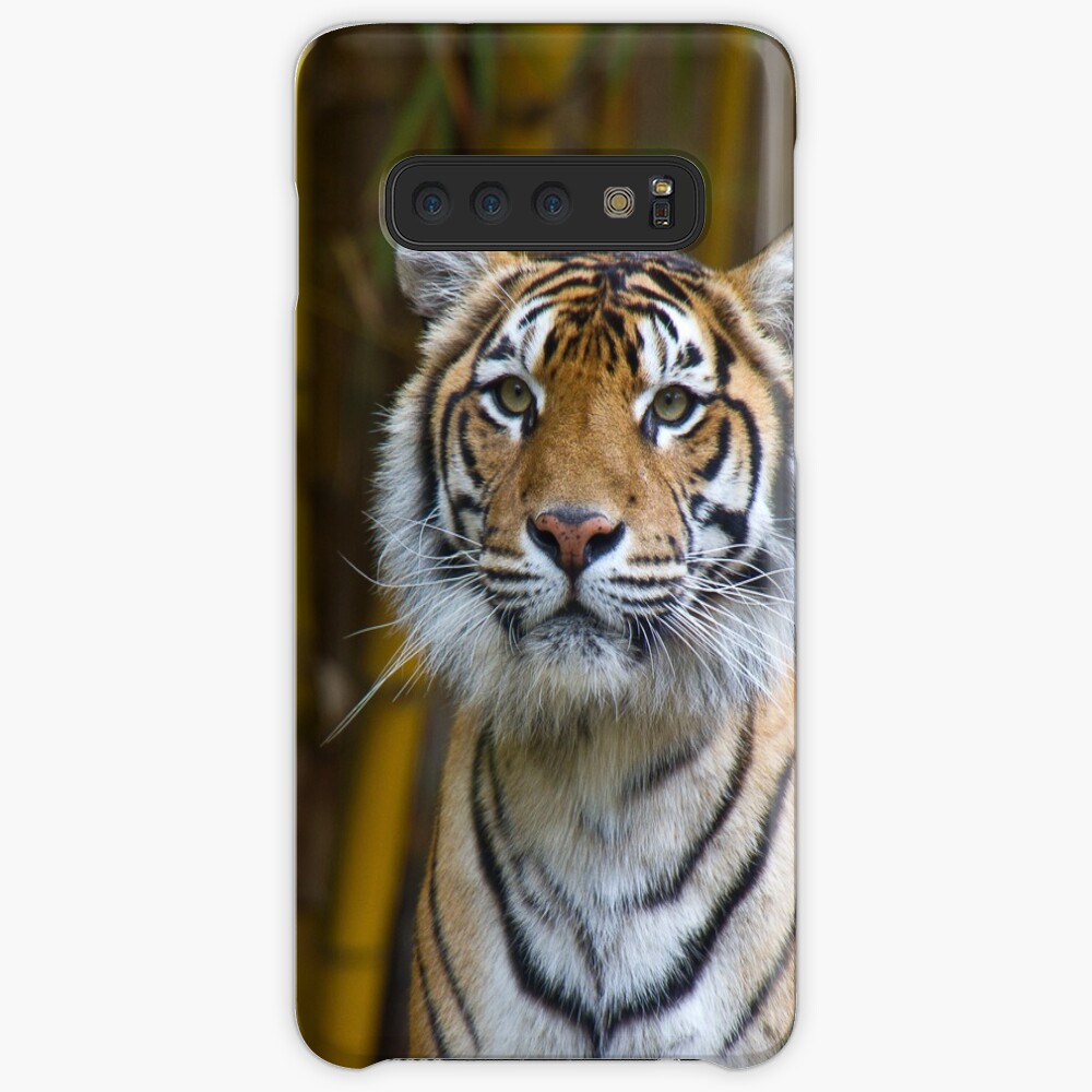 Tiger Case & Skin for Samsung Galaxy