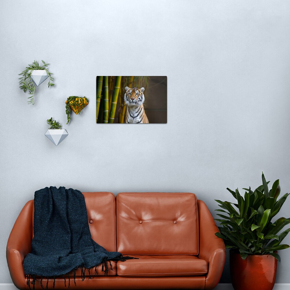 Tiger Metal Print