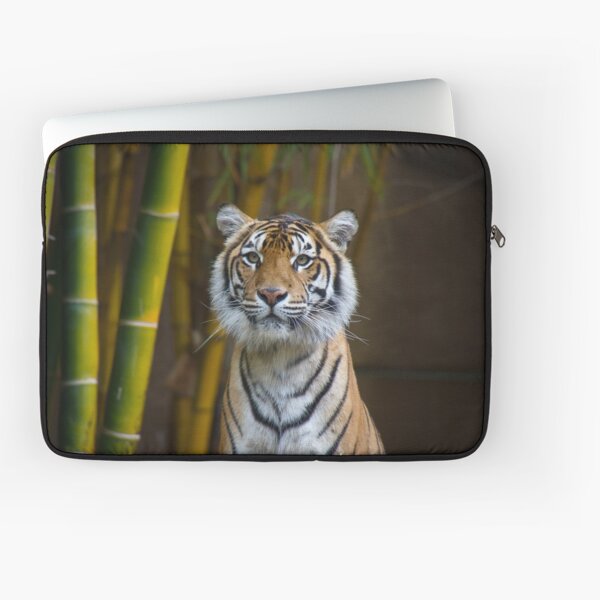 Tiger Laptop Sleeve