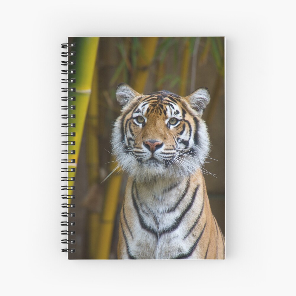 Tiger Spiral Notebook