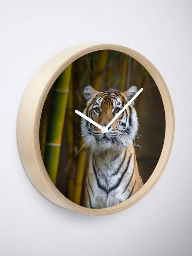 Alternate view of Tiger Clock