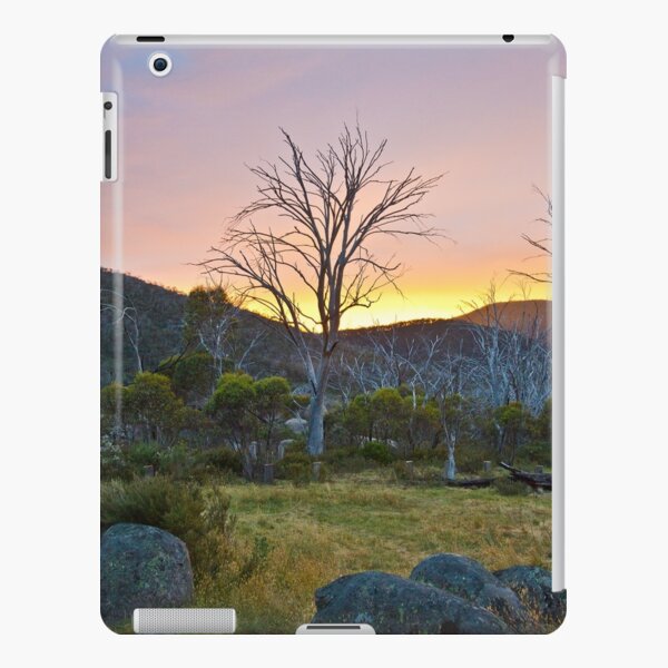 Morning iPad Snap Case