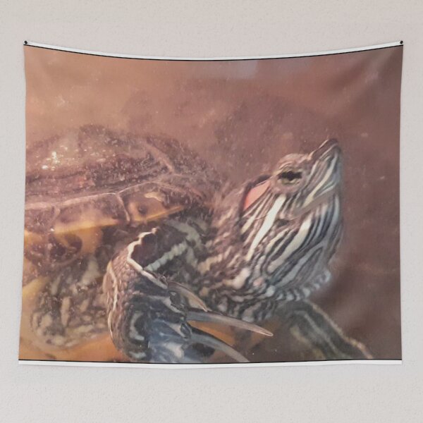 Item preview, red-eared turtle, water turtle, designed and sold by Aizhan896.