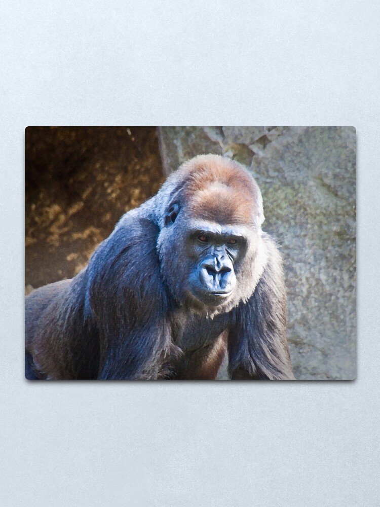 Alternate view of The Portrait Metal Print