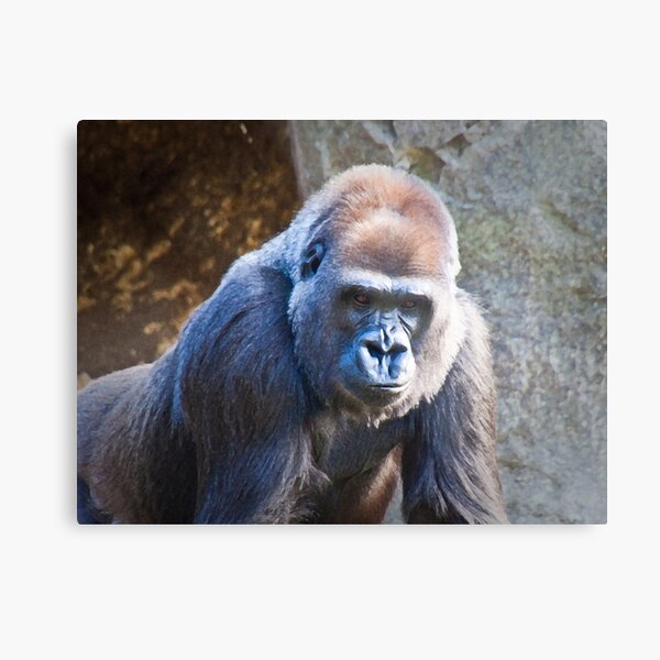 The Portrait Metal Print