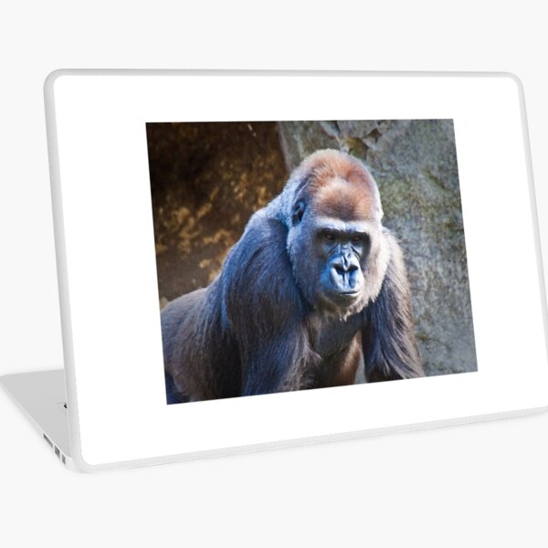 The Portrait Laptop Skin