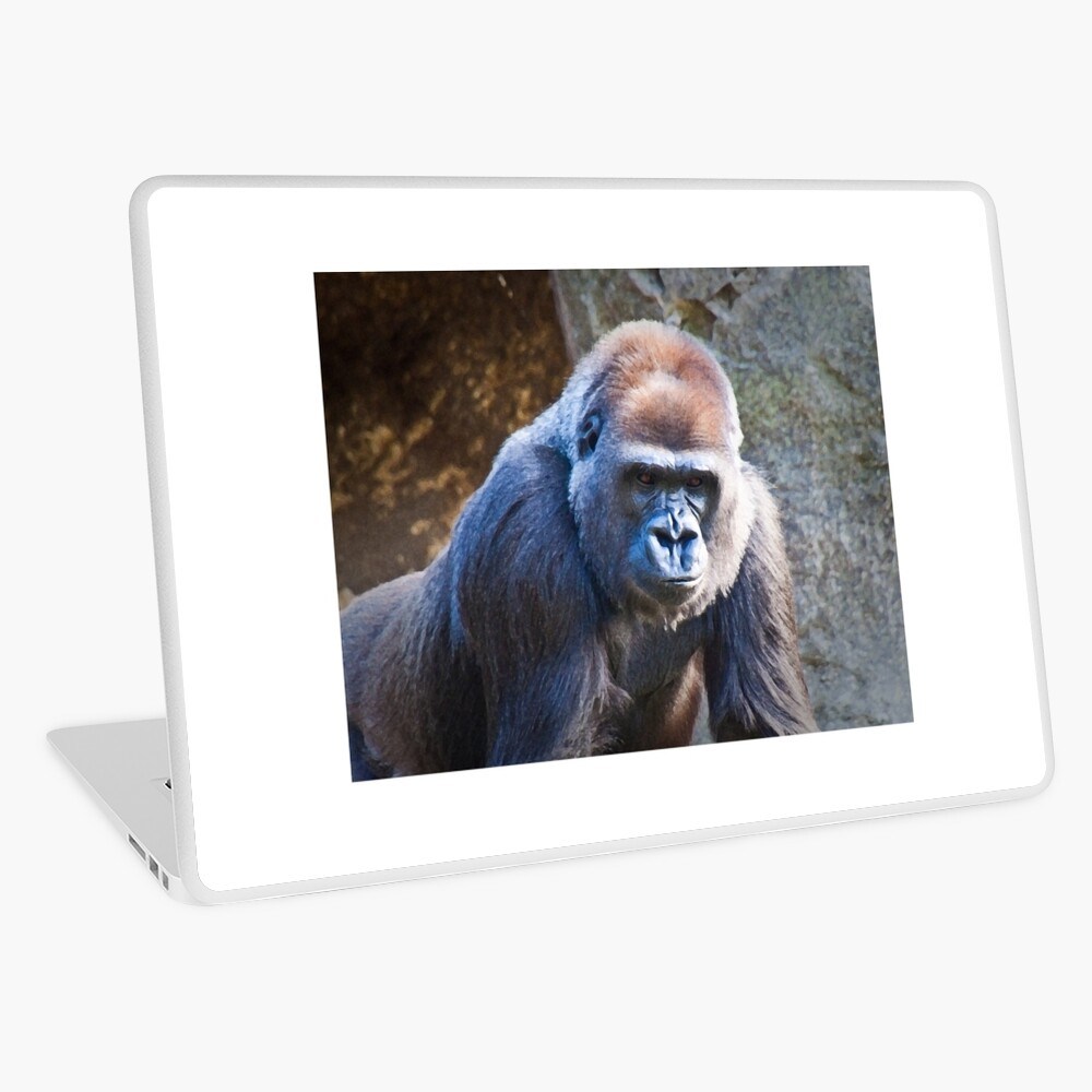The Portrait Laptop Skin