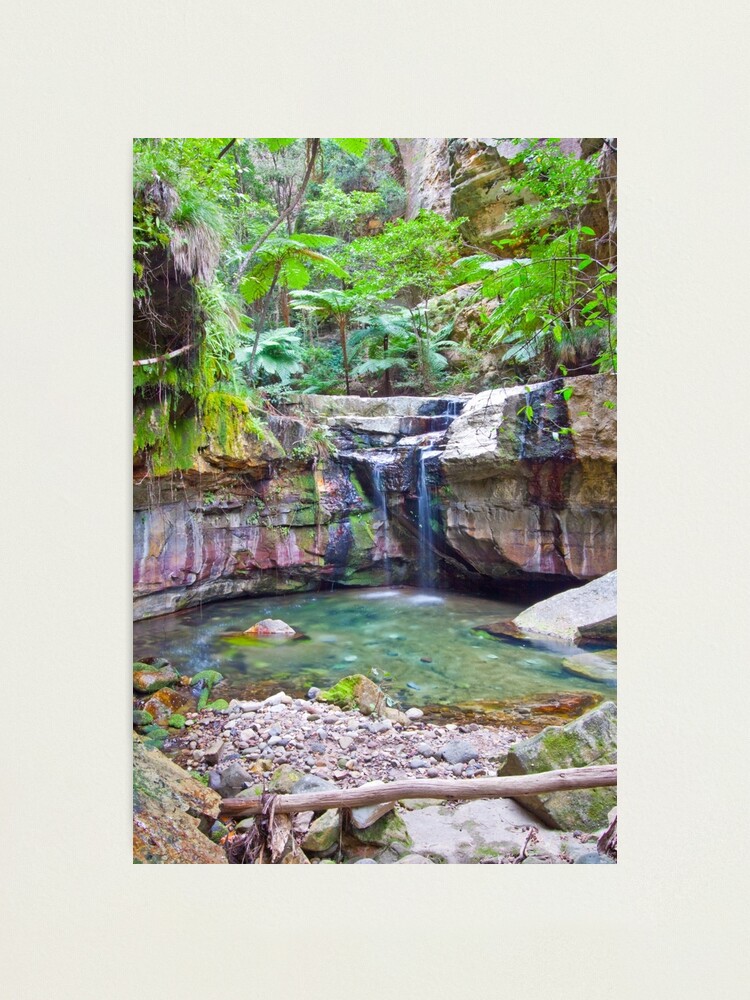 Alternate view of The Moss Gardens II Photographic Print