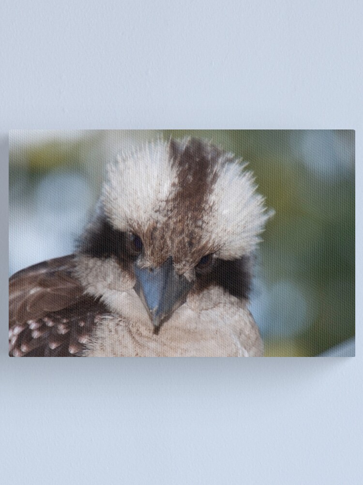 Alternate view of Who you look'in at? Canvas Print
