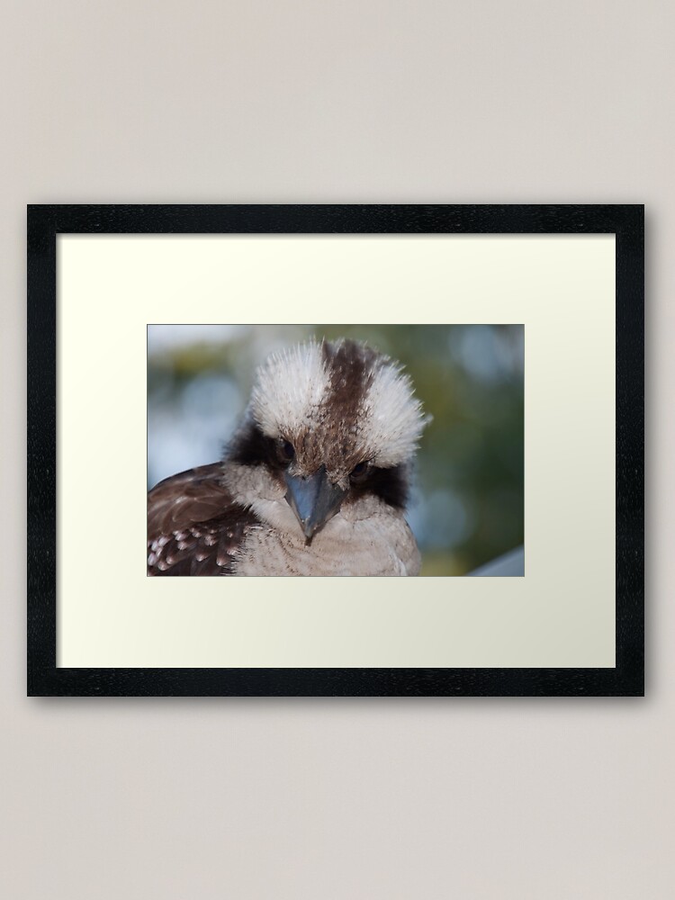Alternate view of Who you look'in at? Framed Art Print