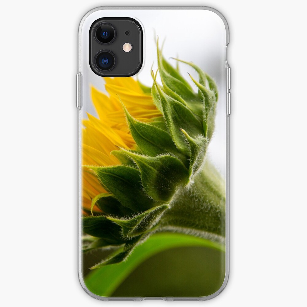 Seeking The Sun iPhone Case & Cover