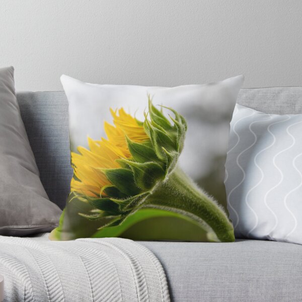 Seeking The Sun Throw Pillow