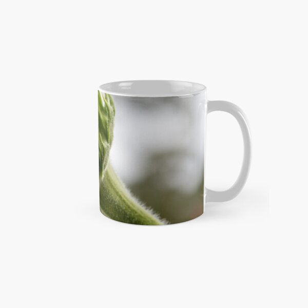 Seeking The Sun Classic Mug