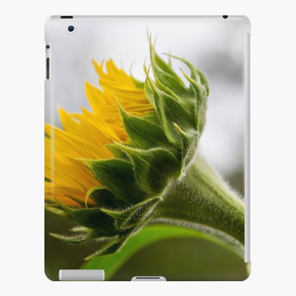 Seeking The Sun iPad Snap Case