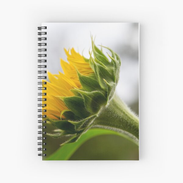Seeking The Sun Spiral Notebook