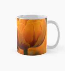 Orange Mug