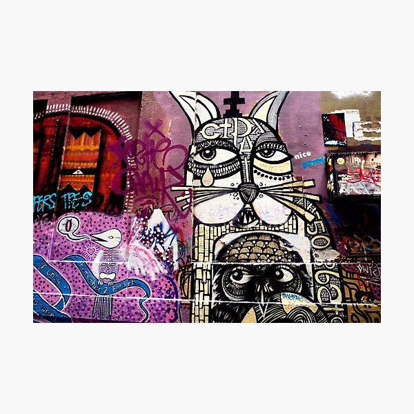 Cat Graffiti Photographic Print