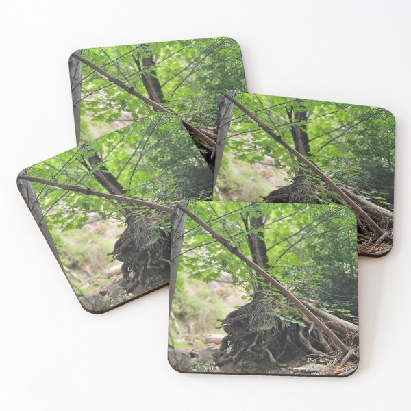 Item preview, California Hiking Trial | Uprooted Trees designed and sold by Hexxyl.