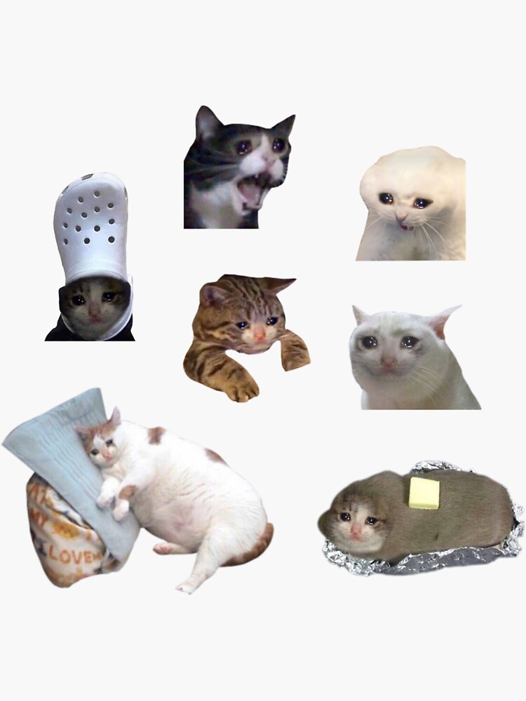 Anime Cat Meme Sticker for Sale by Anime Sekai