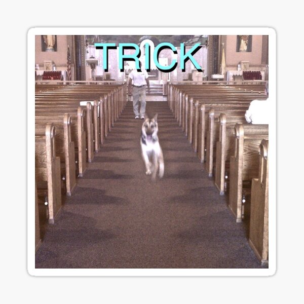 Alex G trick cover Sticker