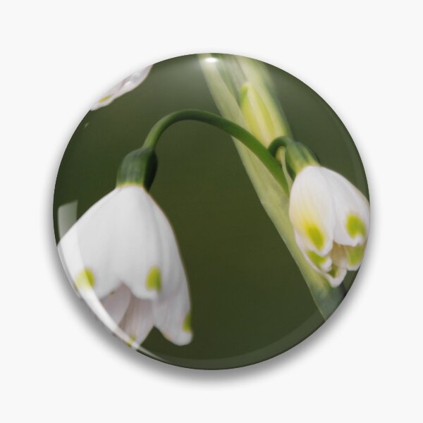 Item preview, Leucojum Aestivum ( Summer Snowflake ) flowers designed and sold by JEZ22.